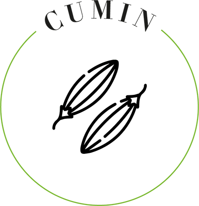 cumin icon