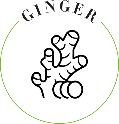 ginger icon