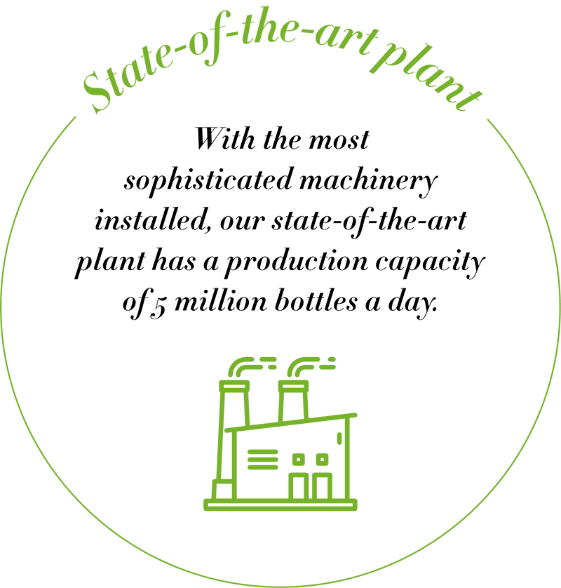 plant 2