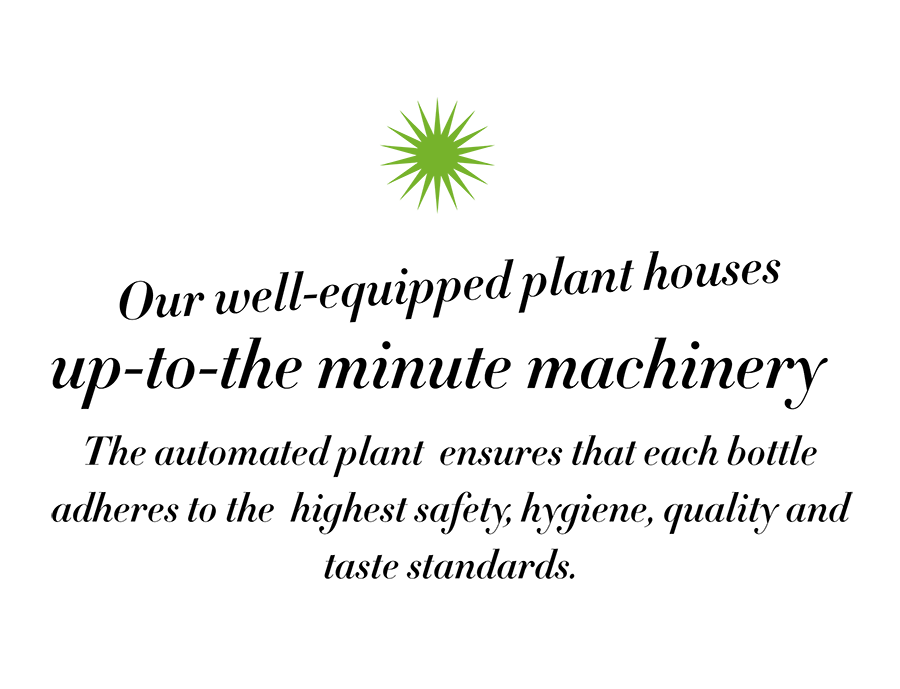 plant 7