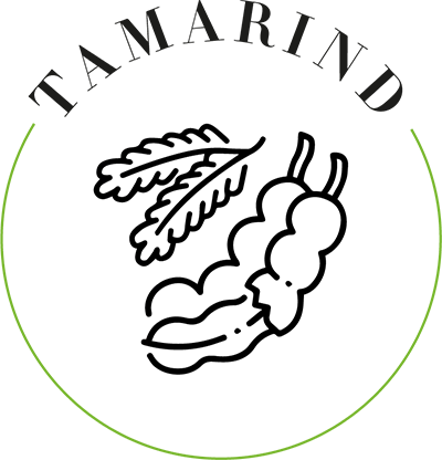 tamarind icon